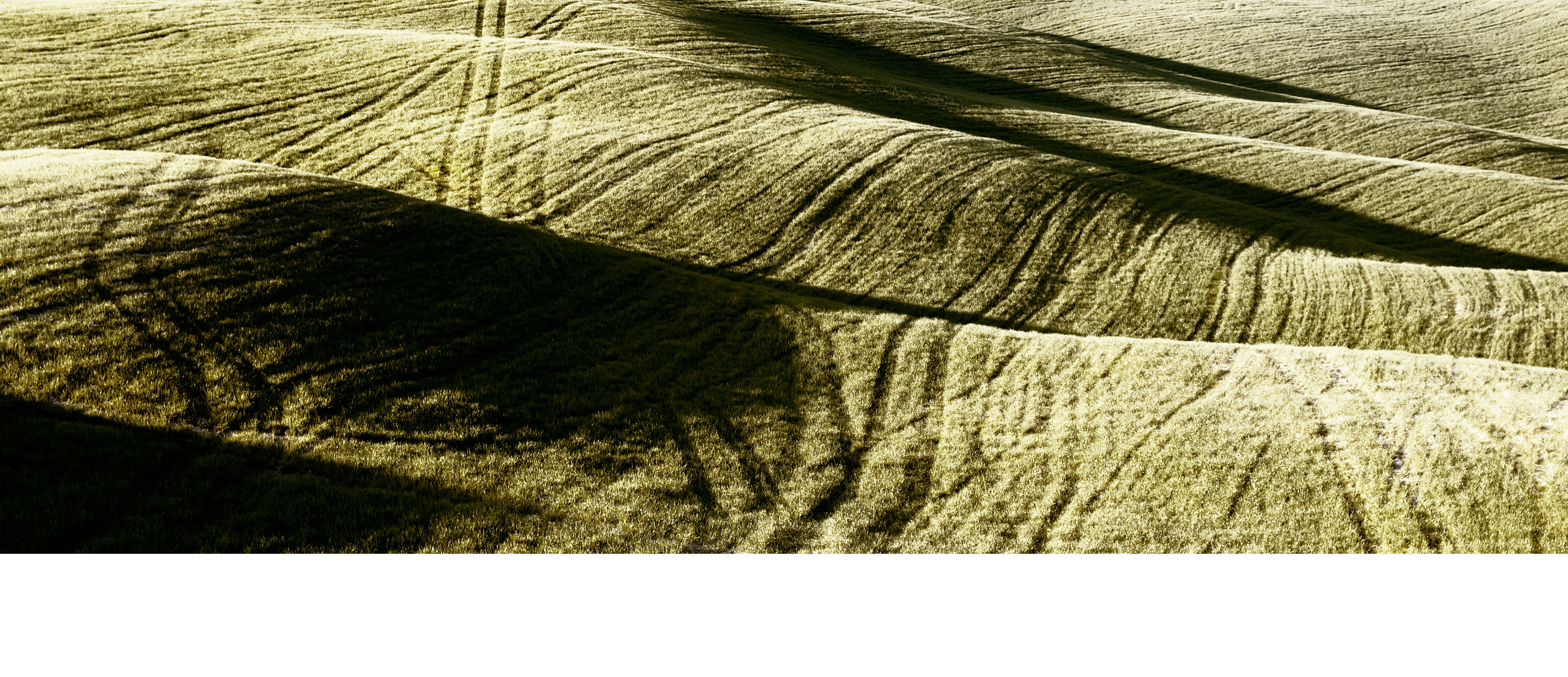 deserti immaginati 5